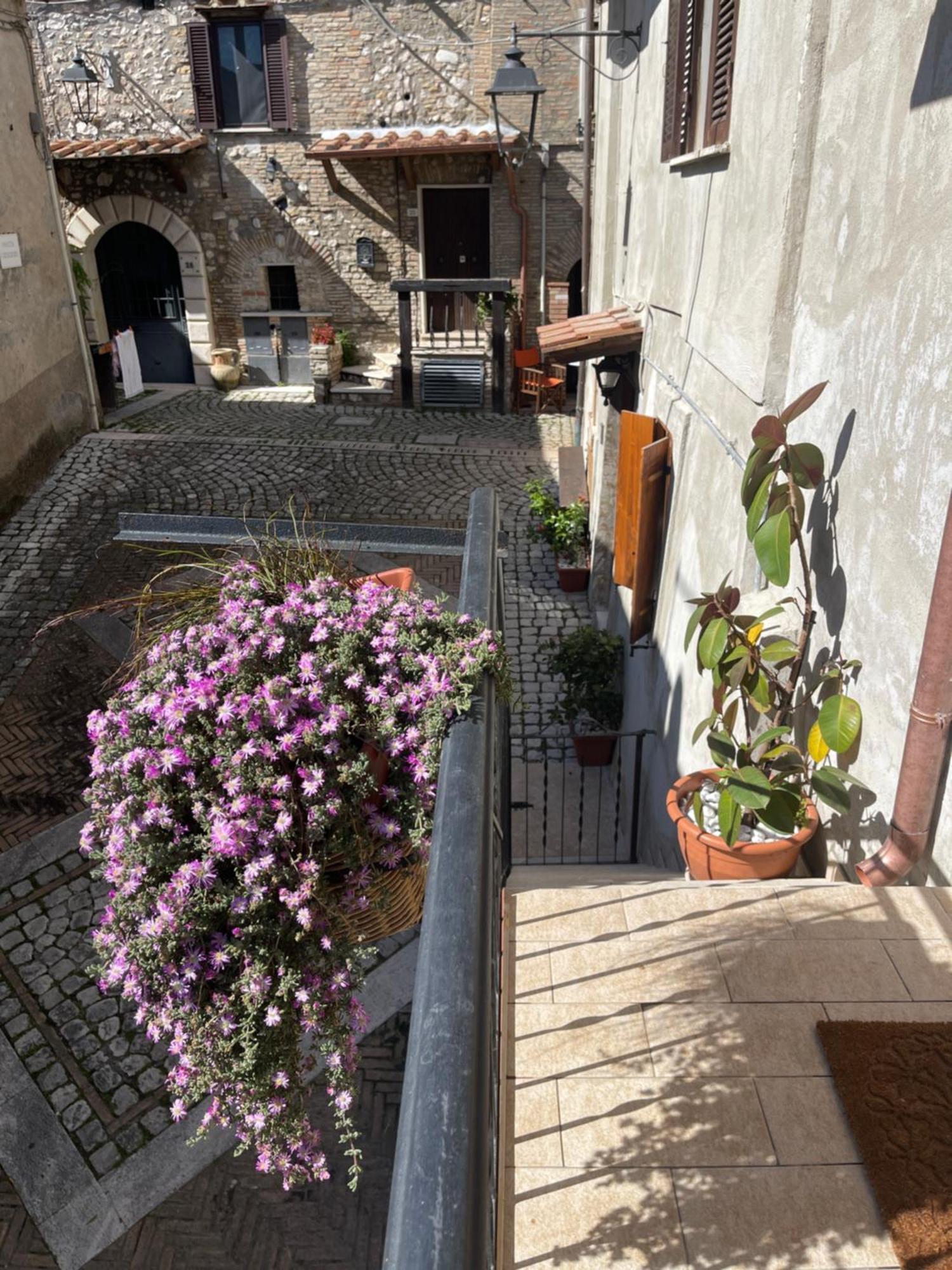 شقة Il Borghetto Mentana المظهر الخارجي الصورة